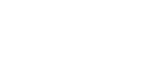 Valdeir Pereira Leiloeiro